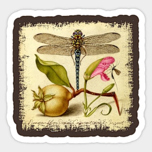 Dragonfly, Pear, Carnation & Insect Sticker